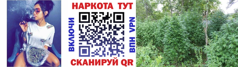 Купить закладку Елизаветинская Кокаин  МЕФ  Галлюциногенные грибы  АМФЕТАМИН  Конопля  А ПВП 